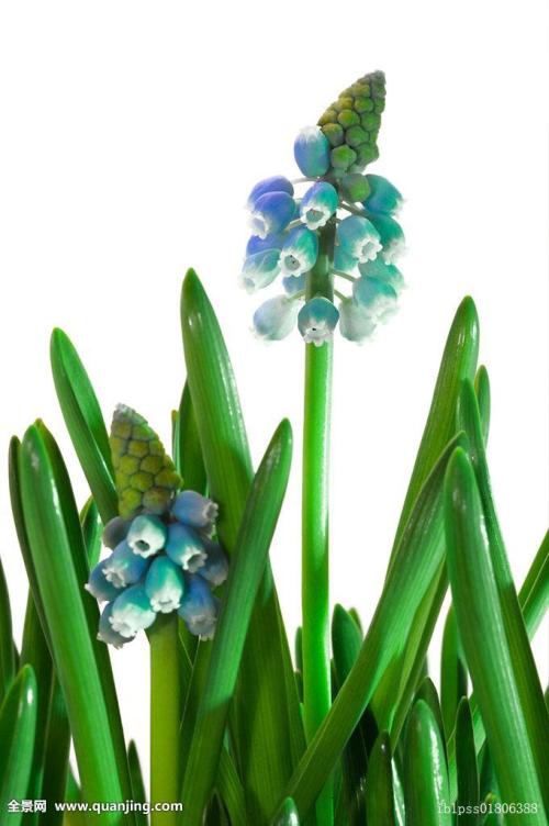 հˮϵȫͨ ˳ǡø˾